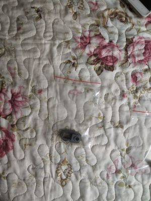 A032742-01 A032742 A229355 A236108 บูชแรงดันสำหรับ Noritsu QSS 27/29/30/31/32/33/35/37 Minilabs ผู้ผลิต