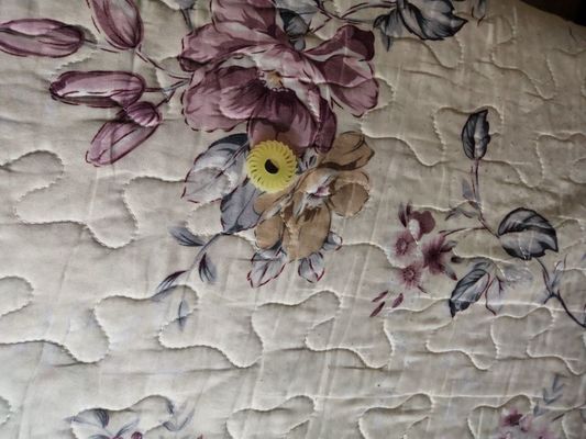 A058613 01 EJECTION ROLLER O ตัดฟัน 24 สำหรับ NORITSU Qss2901 3101 3201 3300 3401,3701 Minilab ผู้ผลิต