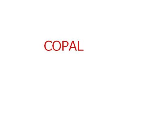 ไส้กรองเคมีสำหรับ Copal 6030/6550 minilab 140x22x35mm ผู้ผลิต