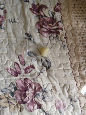 3550 02625A 355002625A 3550 02625 355002625 Konica R1 Minilab อะไหล่ตัวขับเกียร์ ผู้ผลิต